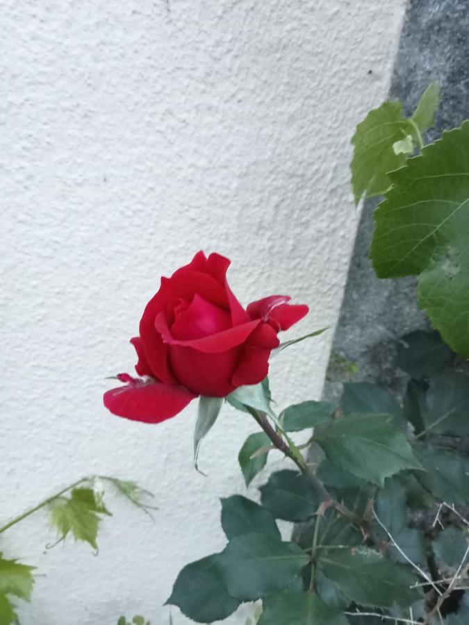 Apartamento Refugio Intimista De Natureza E Paz A 30 Km De Lisboa. Gradil Exterior foto